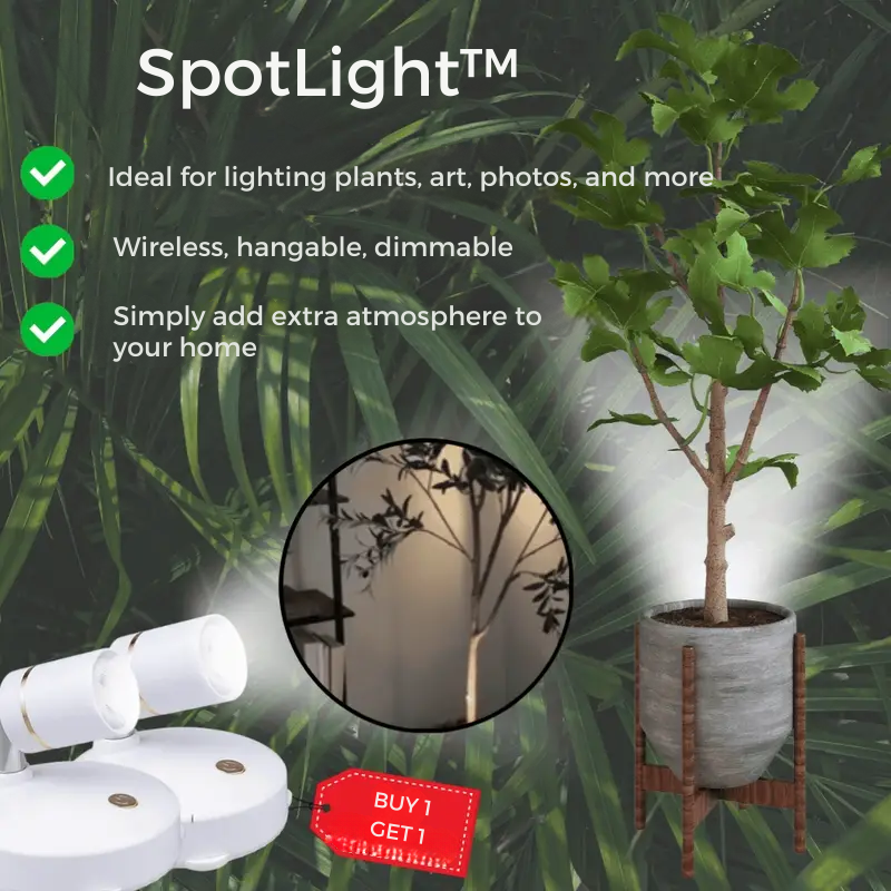 SpotLight - Wireless LED Spotlight | Buy 1 Get 1