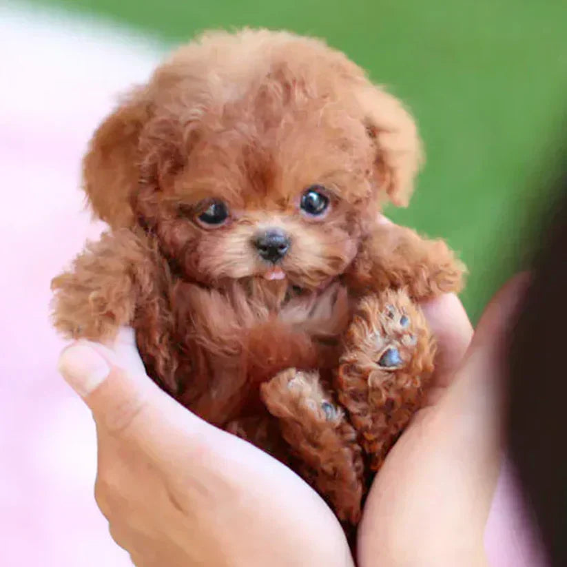 Original Realistic Robot Puppy🐶