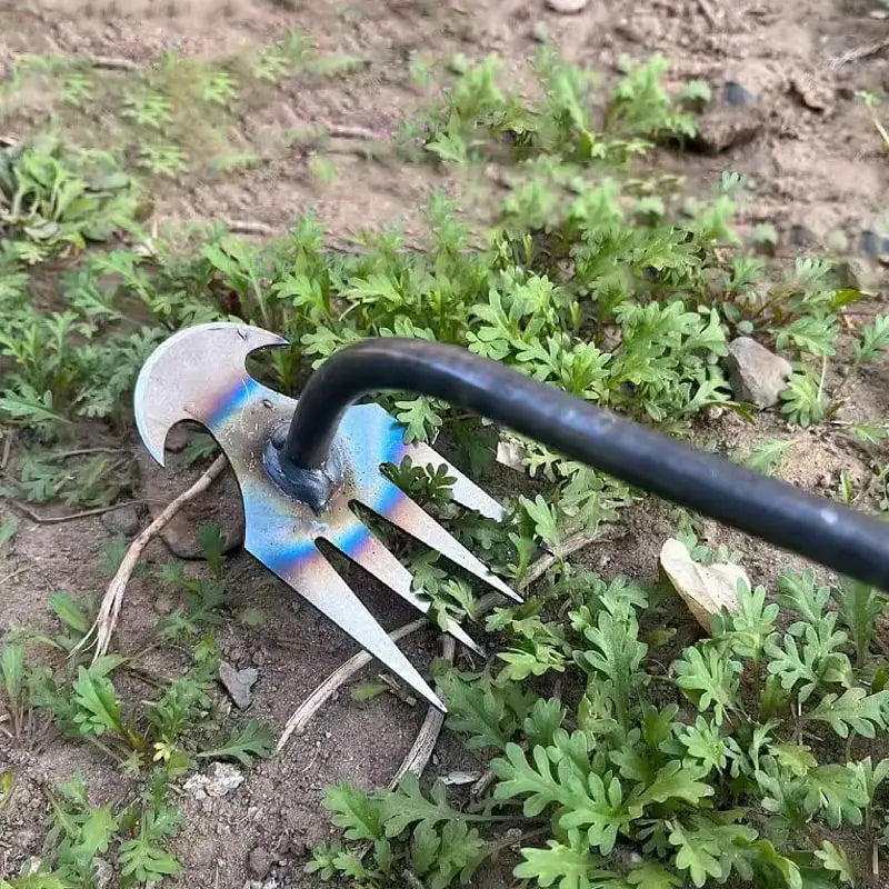 WeedMaster - Your Ultimate Weeding Tool