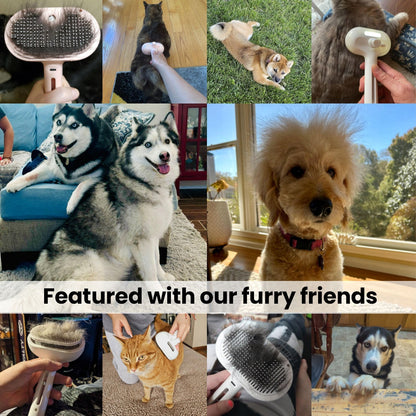 Pawlish Pet Grooming Brush