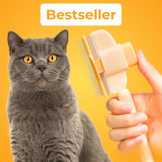 Fellblitz Brush - The Bestseller