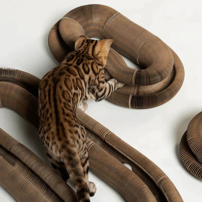 Cat toy