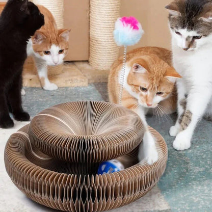 Cat toy