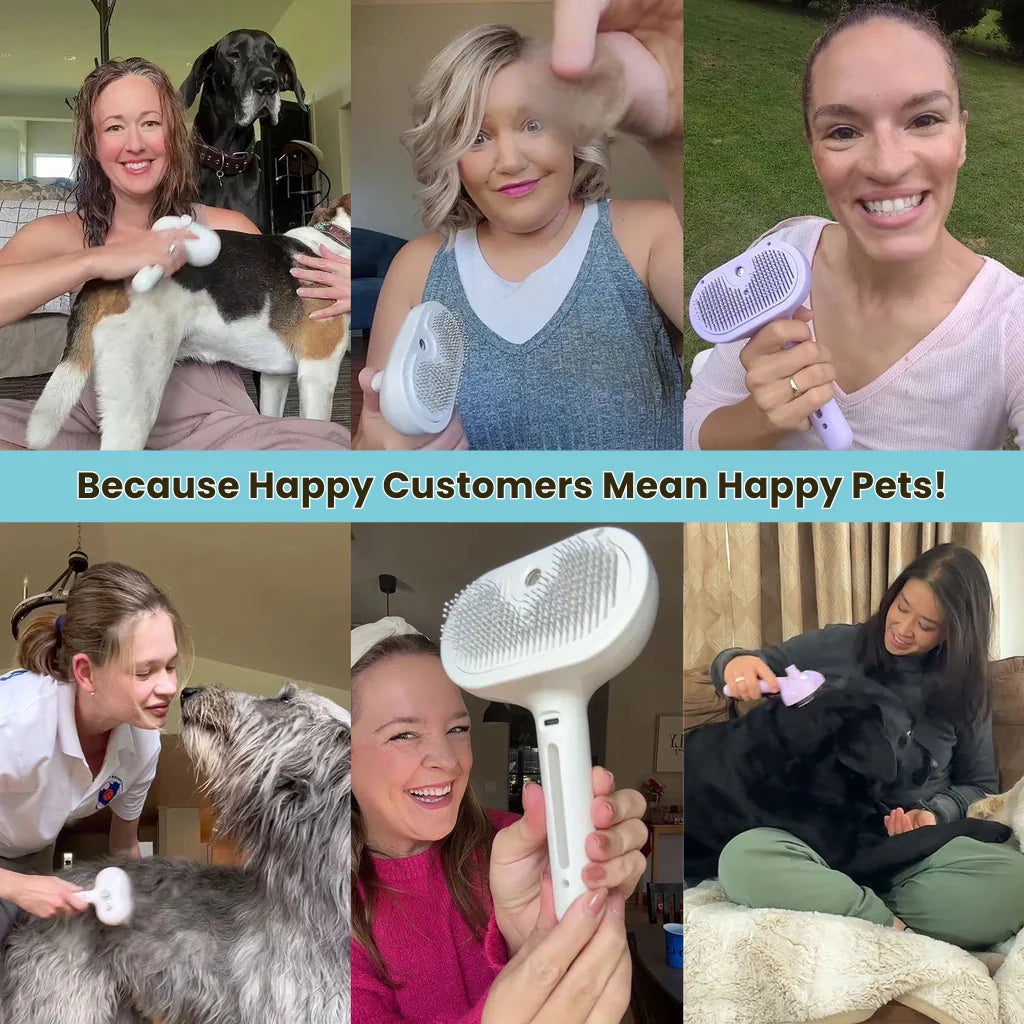 Pawlish Pet Grooming Brush